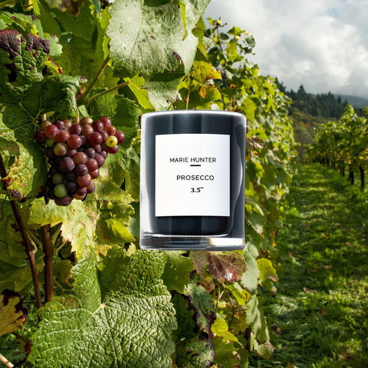Prosecco Signature Candle